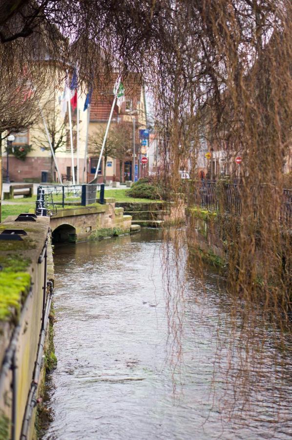 Meublé tout confort, avec terrasse Niederbronn-les-Bains Exterior foto